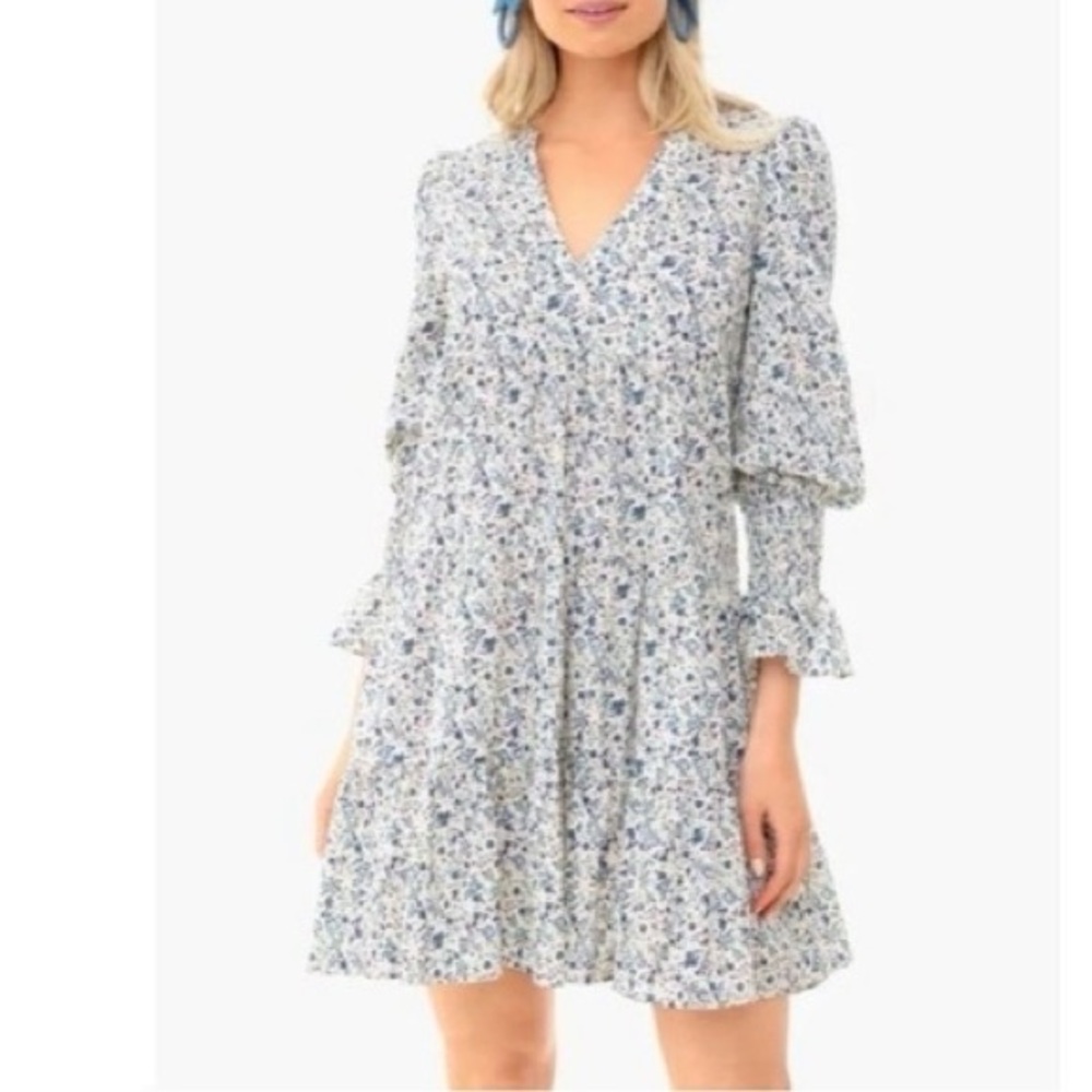 Tuckernuck Blue Floral Mini Dress